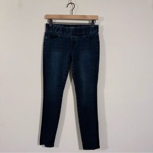 Liverpool Jeans Company Deep Indigo Jeggings